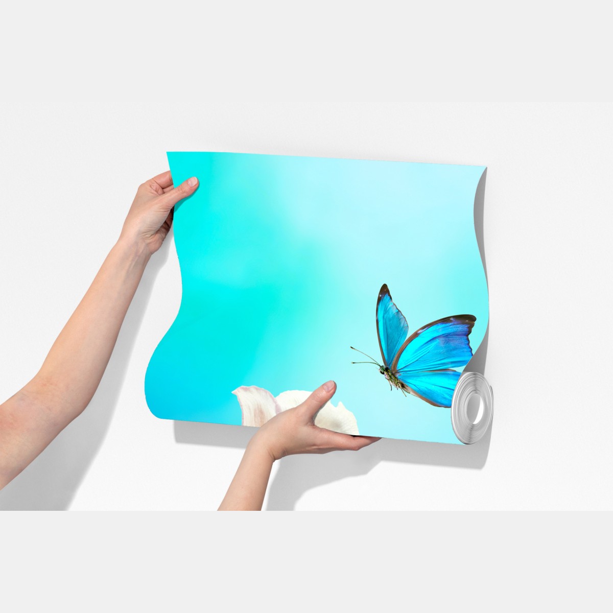 Fototapeta delikatne różowe anemony i niebieski motyl – Wallissimo® Fototapeta delikatne różowe anemony i niebieski motyl – Wallissimo®