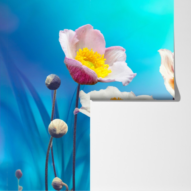 Fototapeta delikatne różowe anemony i niebieski motyl – Wallissimo® Fototapeta delikatne różowe anemony i niebieski motyl – Wallissimo®