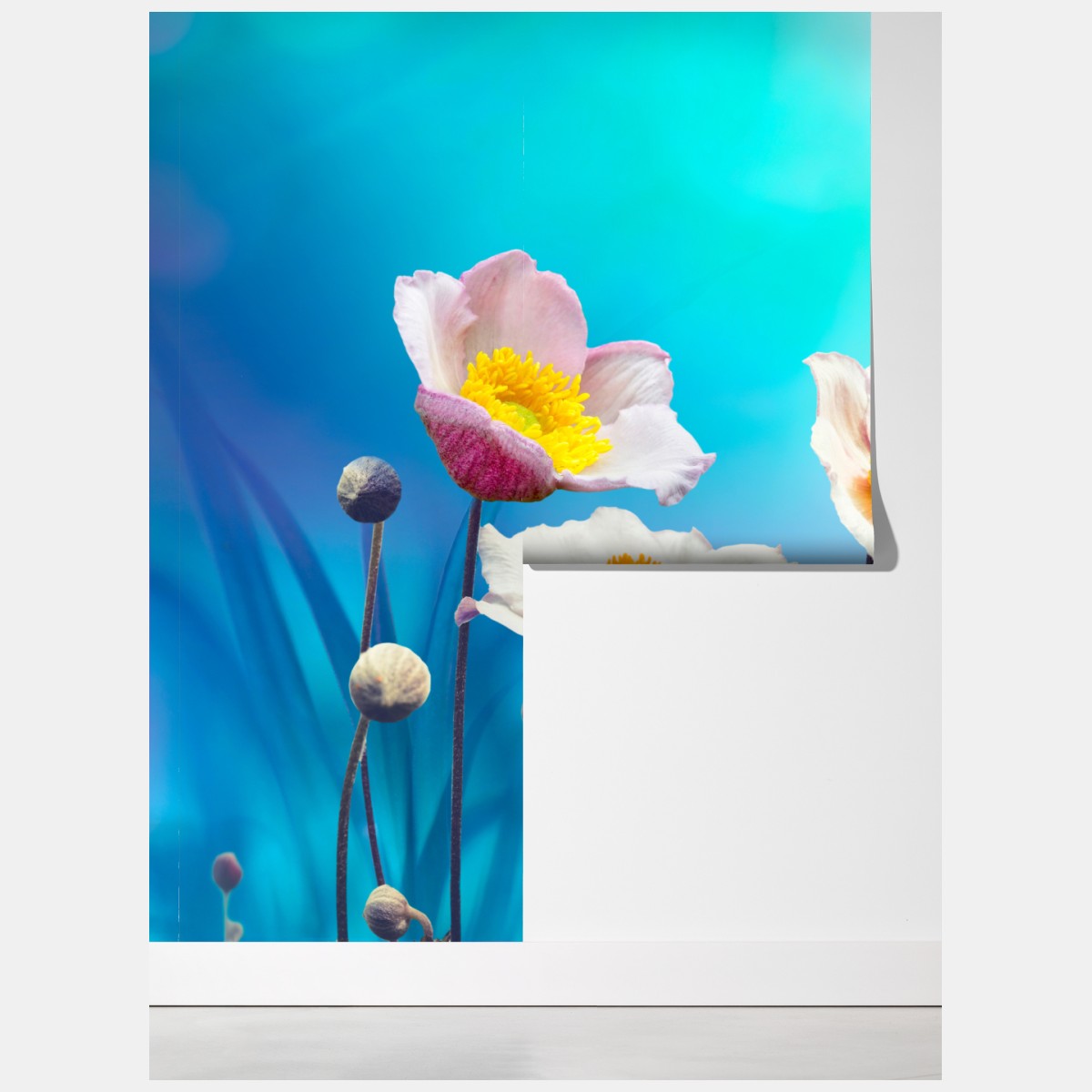 Fototapeta delikatne różowe anemony i niebieski motyl – Wallissimo® Fototapeta delikatne różowe anemony i niebieski motyl – Wallissimo®