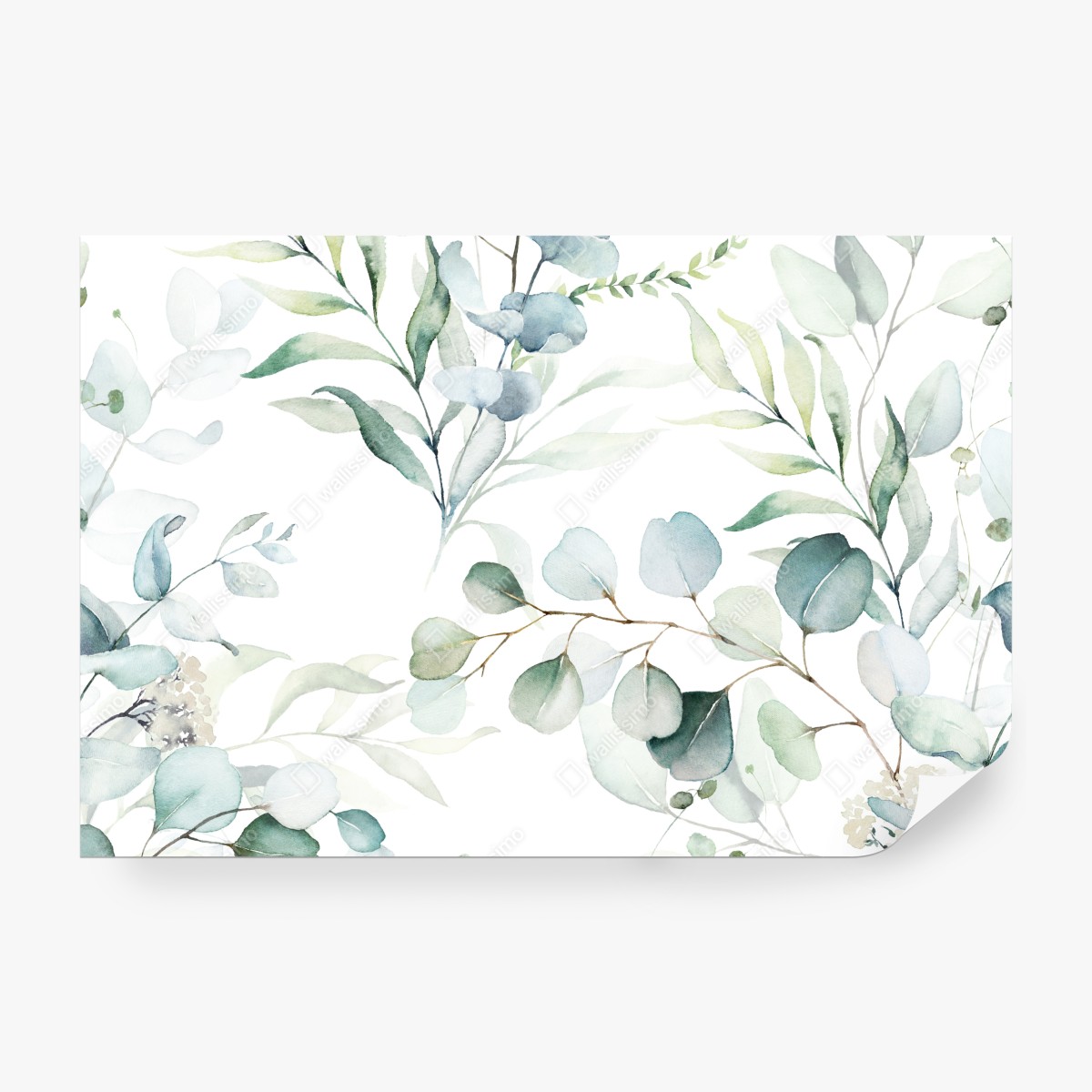 Fototapeta akwarelowy wzór eukaliptusa i liści – Wallissimo® Fototapeta akwarelowy wzór eukaliptusa i liści – Wallissimo®