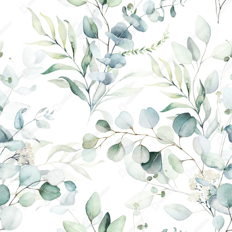 Fototapeta akwarelowy wzór eukaliptusa i liści – Wallissimo® Fototapeta akwarelowy wzór eukaliptusa i liści – Wallissimo®
