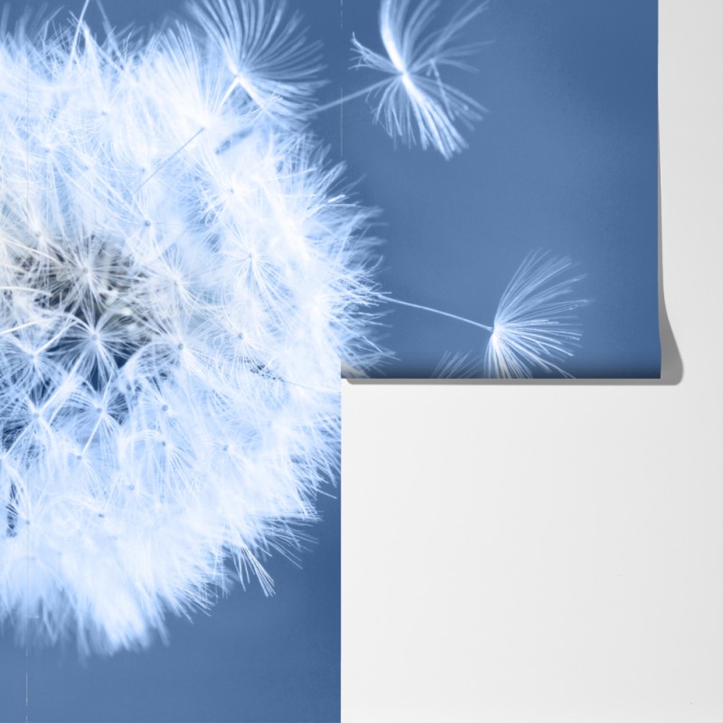 Fototapeta delikatne nasiona dmuchawca w odcieniach niebieskiego – Wallissimo® Fototapeta delikatne nasiona dmuchawca w odcieniach niebieskiego – Wallissimo®