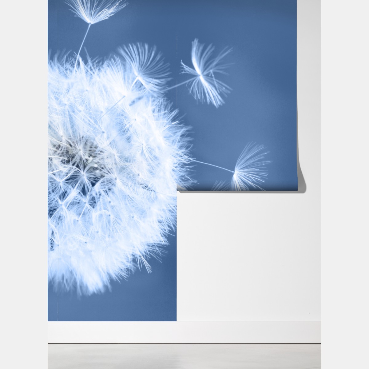 Fototapeta delikatne nasiona dmuchawca w odcieniach niebieskiego – Wallissimo® Fototapeta delikatne nasiona dmuchawca w odcieniach niebieskiego – Wallissimo®