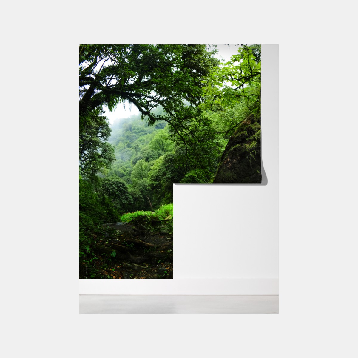 Fototapeta mszysty leśny strumień panorama – Wallissimo® Fototapeta mszysty leśny strumień panorama – Wallissimo®