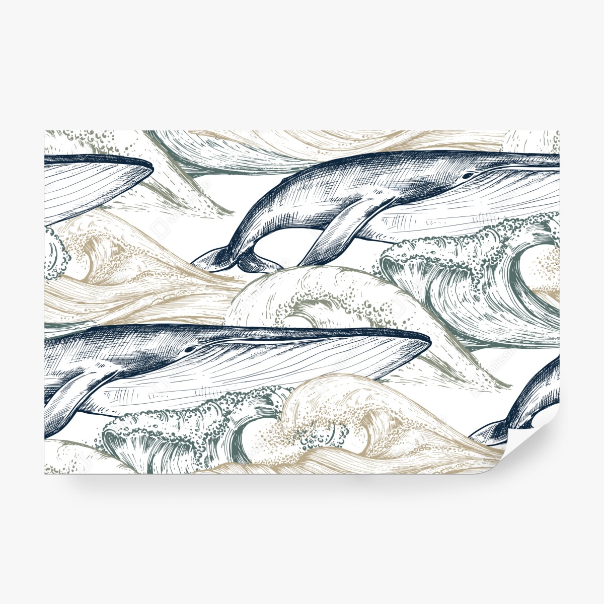 Fototapeta rysunek wielorybów i morskich fal – Wallissimo® Fototapeta rysunek wielorybów i morskich fal – Wallissimo®
