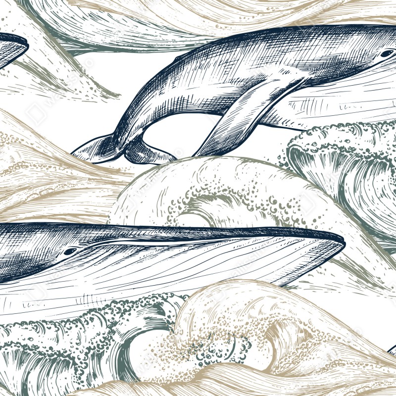 Fototapeta rysunek wielorybów i morskich fal – Wallissimo® Fototapeta rysunek wielorybów i morskich fal – Wallissimo®