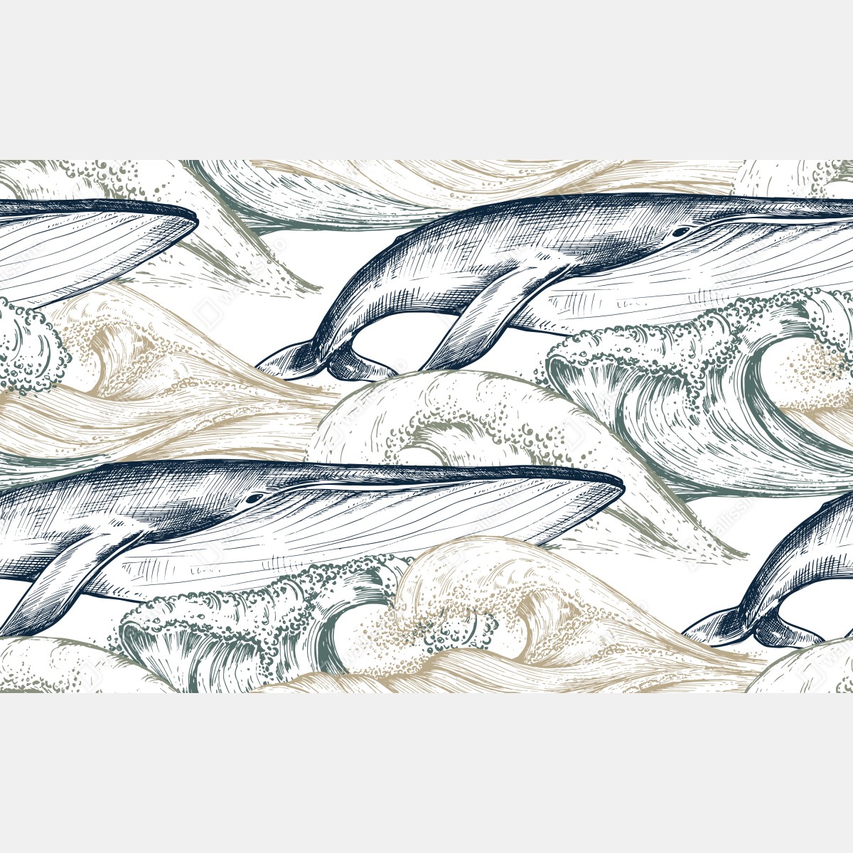 Fototapeta rysunek wielorybów i morskich fal – Wallissimo® Fototapeta rysunek wielorybów i morskich fal – Wallissimo®