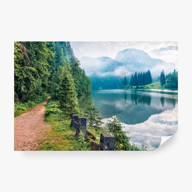 Fototapeta motyl na złotej łące – Wallissimo®