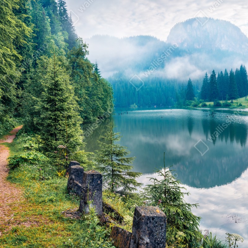 Fototapeta mglisty poranek nad Lacu Rosu – Wallissimo® Fototapeta mglisty poranek nad Lacu Rosu – Wallissimo®