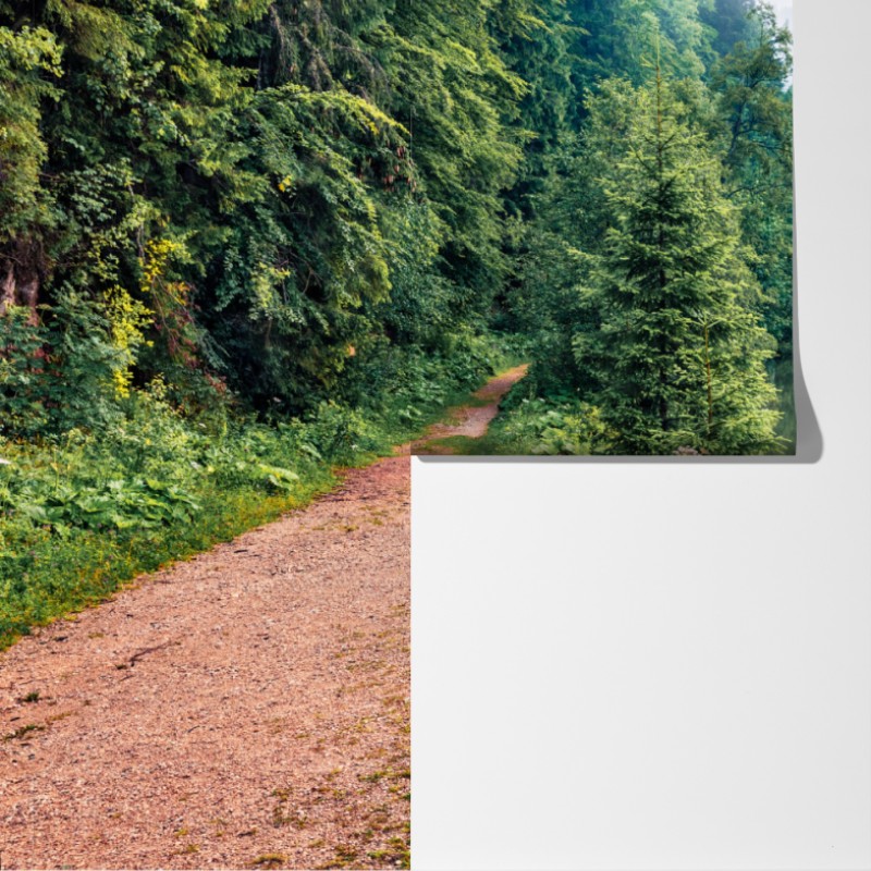 Fototapeta mglisty poranek nad Lacu Rosu – Wallissimo® Fototapeta mglisty poranek nad Lacu Rosu – Wallissimo®