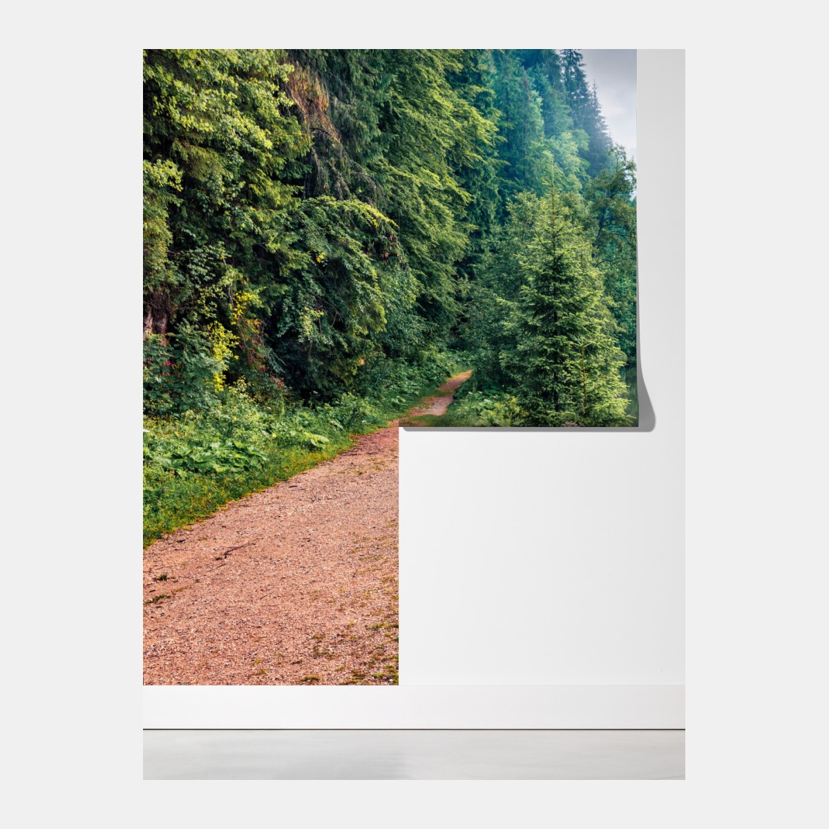 Fototapeta mglisty poranek nad Lacu Rosu – Wallissimo® Fototapeta mglisty poranek nad Lacu Rosu – Wallissimo®