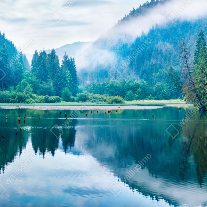 Fototapeta mglisty poranek nad jeziorem Lacu Rosu, Rumunia – Wallissimo® Fototapeta mglisty poranek nad jeziorem Lacu Rosu, Rumunia – Wallissimo®