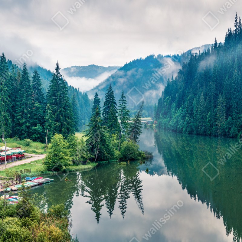 Fototapeta mglisty poranek nad Lacu Rosu – Wallissimo® Fototapeta mglisty poranek nad Lacu Rosu – Wallissimo®