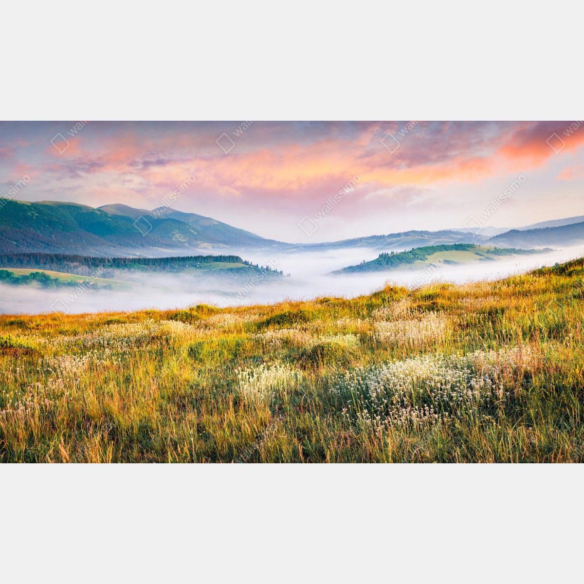 Fototapeta mglisty poranek w Borżawie – Wallissimo® Fototapeta mglisty poranek w Borżawie – Wallissimo®