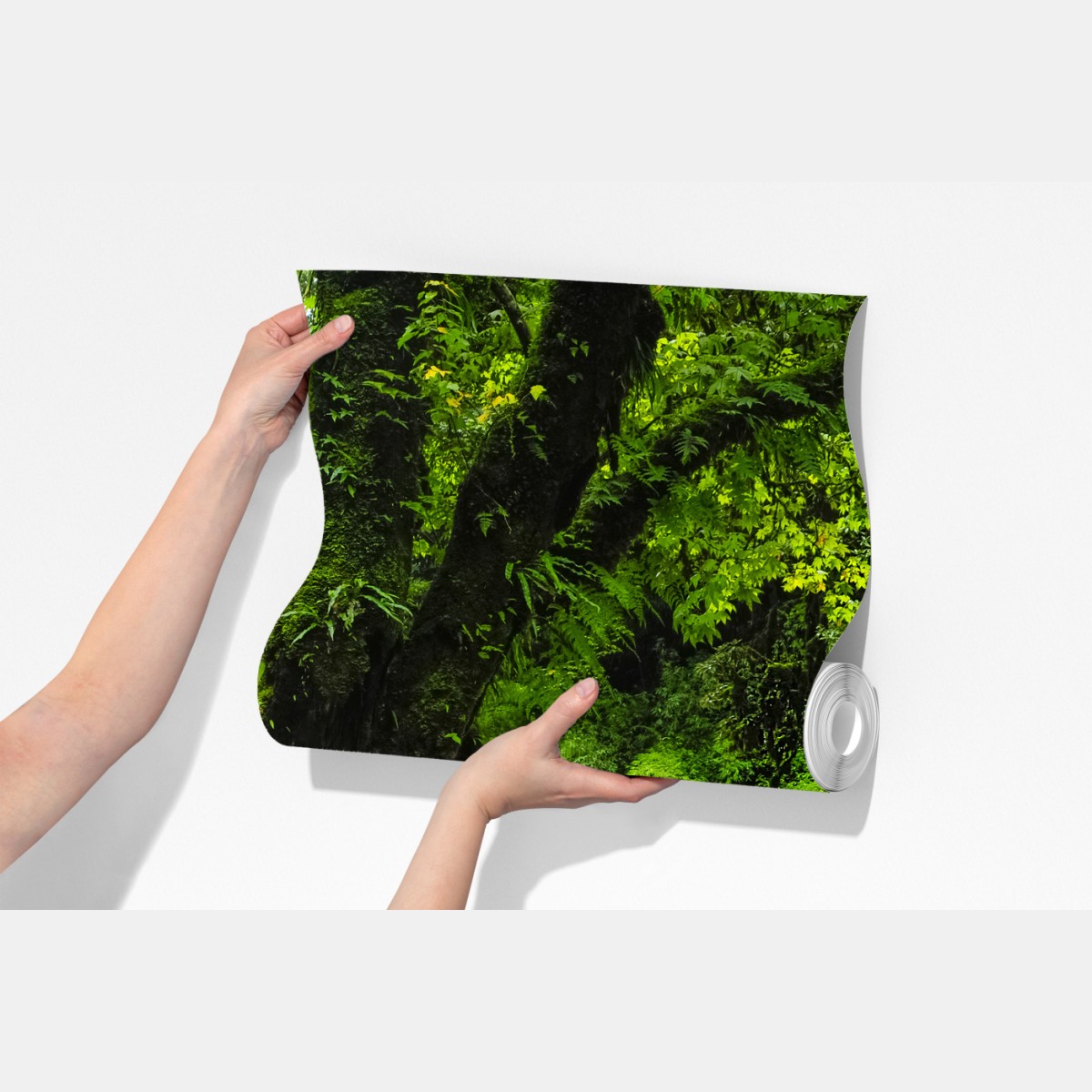 Fototapeta bujny zielony wodospad w lesie – Wallissimo® Fototapeta bujny zielony wodospad w lesie – Wallissimo®