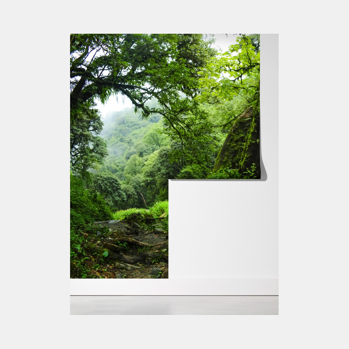 Fototapeta bujny zielony wodospad w lesie – Wallissimo® Fototapeta bujny zielony wodospad w lesie – Wallissimo®