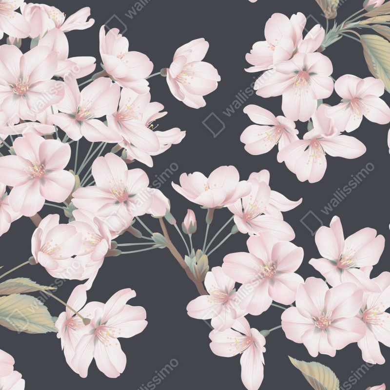 Fototapeta delikatny wzór kwiatów wiśni – Wallissimo® Fototapeta delikatny wzór kwiatów wiśni – Wallissimo®