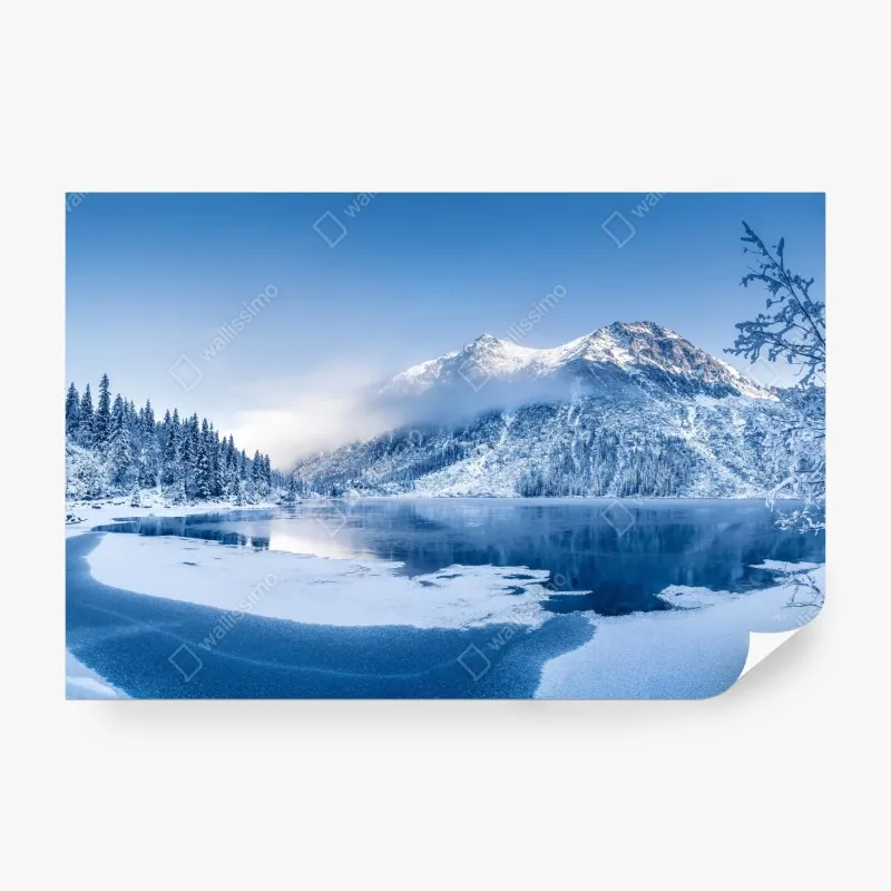 Fototapeta poranne światło w zielonym lesie – Wallissimo®