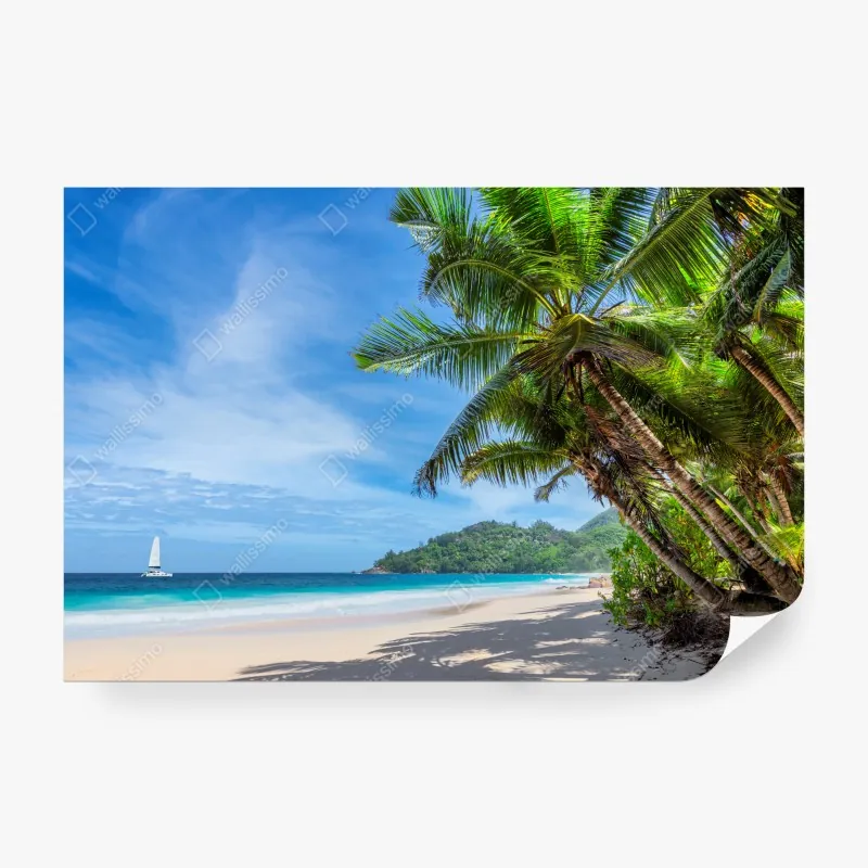 Wall mural tropical beach with palm trees and sailboat