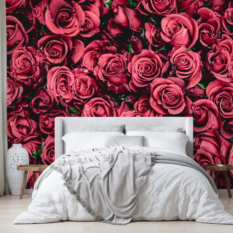 Wall mural lush red roses floral wall art