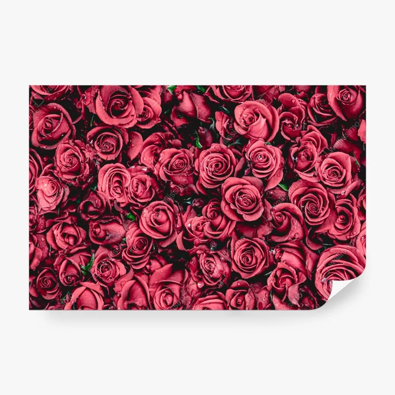 Wall mural lush red roses floral wall art
