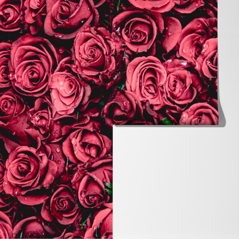 Fototapeta gęste czerwone róże dekoracja ścienna – Wallissimo® Fototapeta gęste czerwone róże dekoracja ścienna – Wallissimo®