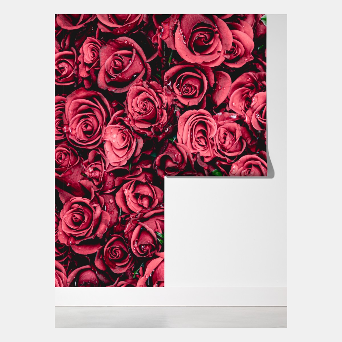 Fototapeta gęste czerwone róże dekoracja ścienna – Wallissimo® Fototapeta gęste czerwone róże dekoracja ścienna – Wallissimo®