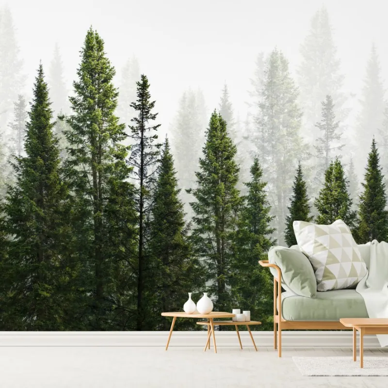 Wall mural misty fir forest panorama