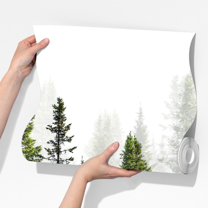 Fototapeta mglisty las jodłowy – Wallissimo® Fototapeta mglisty las jodłowy – Wallissimo®