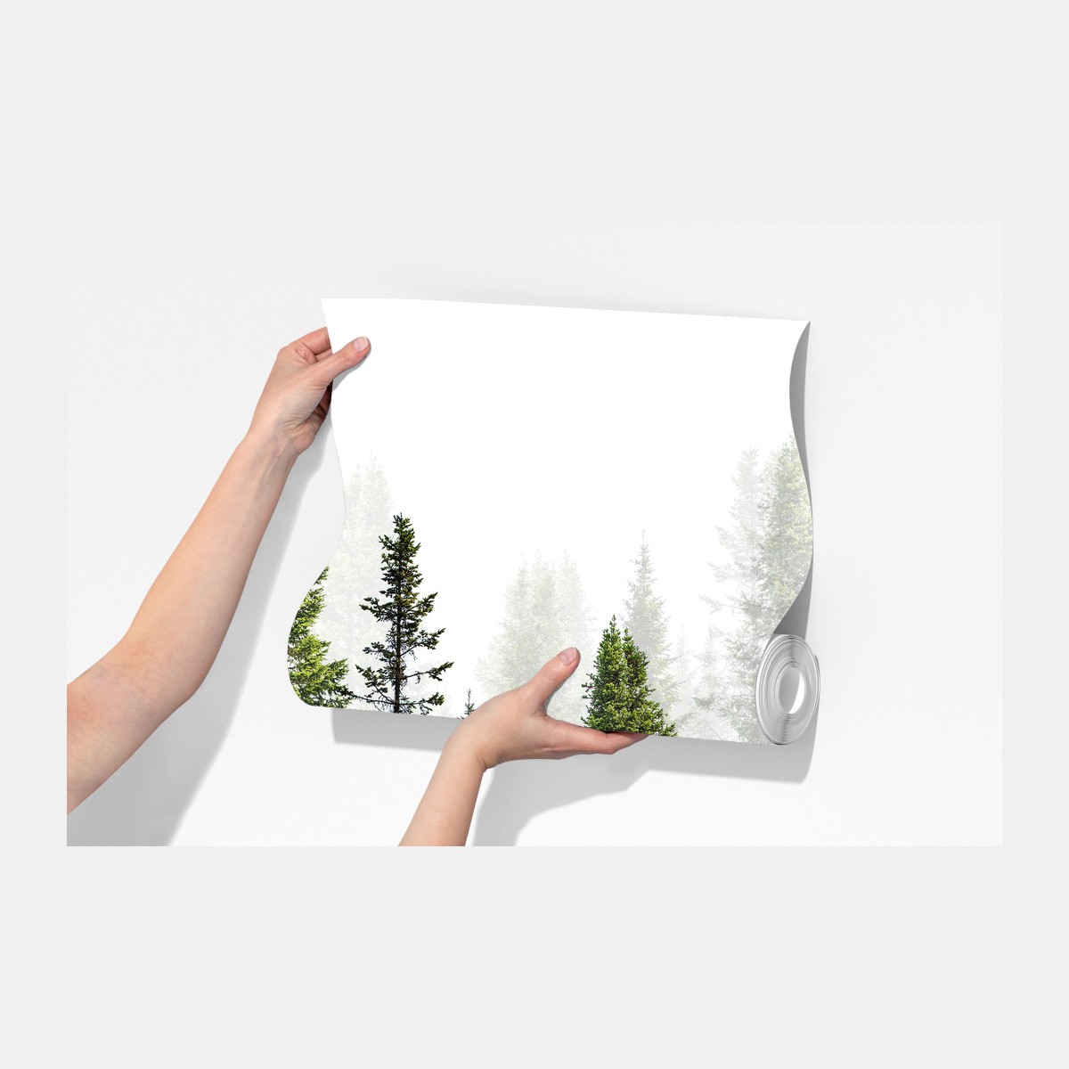 Fototapeta mglisty las jodłowy – Wallissimo® Fototapeta mglisty las jodłowy – Wallissimo®