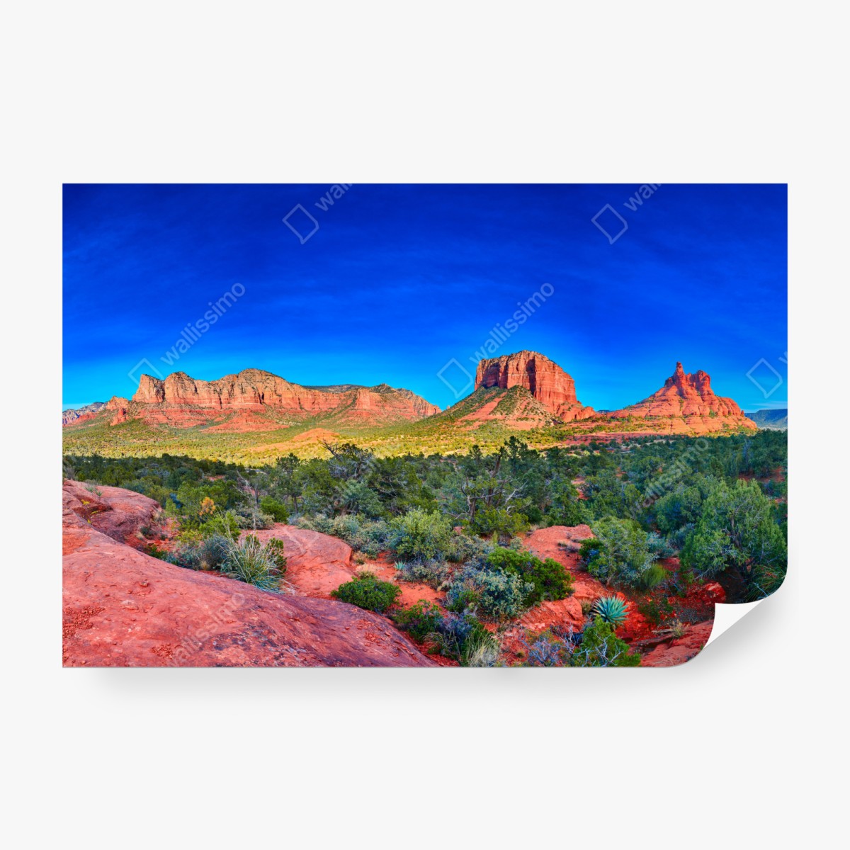 Fototapeta panoramiczny widok na Bell Rock i Courthouse Butte, Sedona – Wallissimo® Fototapeta panoramiczny widok na Bell Rock i Courthouse Butte, Sedona – Wallissimo®