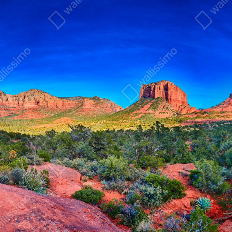Fototapeta panoramiczny widok na Bell Rock i Courthouse Butte, Sedona – Wallissimo® Fototapeta panoramiczny widok na Bell Rock i Courthouse Butte, Sedona – Wallissimo®