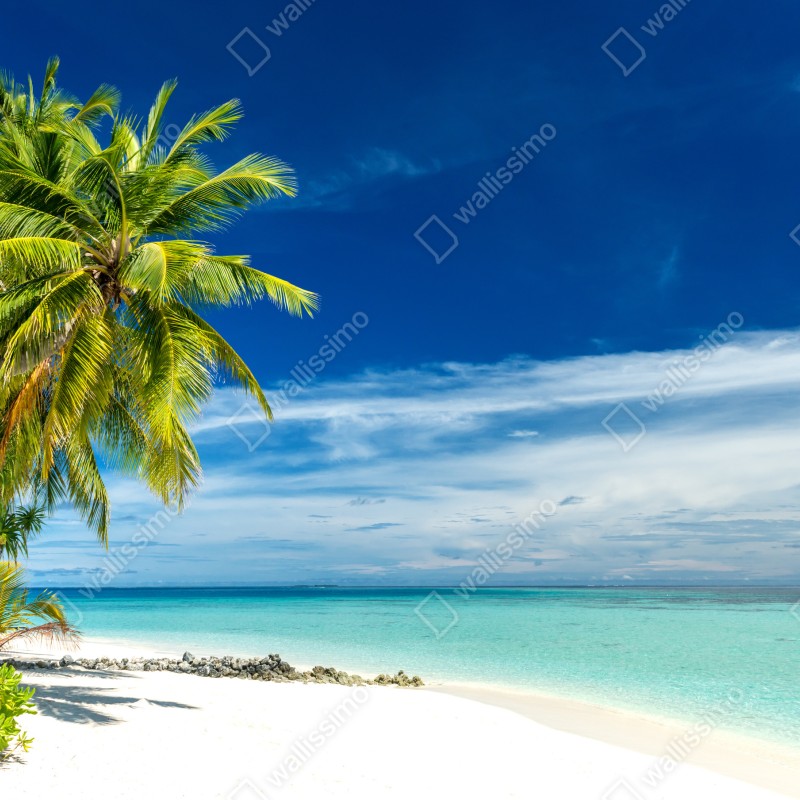 Fototapeta tropikalna turkusowa plaża – Wallissimo® Fototapeta tropikalna turkusowa plaża – Wallissimo®