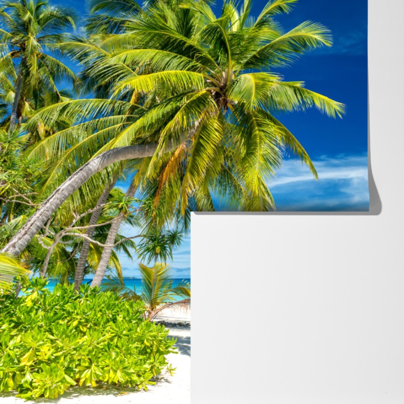 Fototapeta tropikalna turkusowa plaża – Wallissimo® Fototapeta tropikalna turkusowa plaża – Wallissimo®