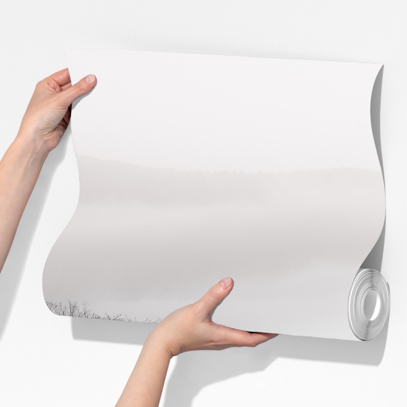 Fototapeta mglisty las w odcieniach szarości – Wallissimo® Fototapeta mglisty las w odcieniach szarości – Wallissimo®