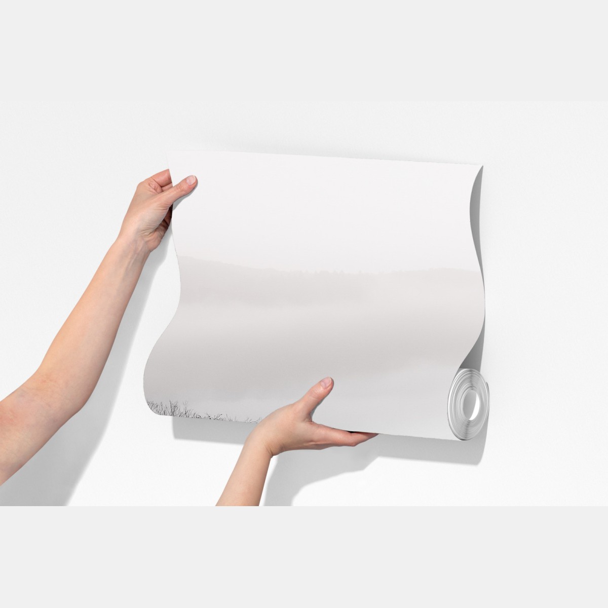 Fototapeta mglisty las w odcieniach szarości – Wallissimo® Fototapeta mglisty las w odcieniach szarości – Wallissimo®