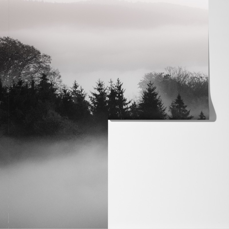 Fototapeta mglisty las w odcieniach szarości – Wallissimo® Fototapeta mglisty las w odcieniach szarości – Wallissimo®