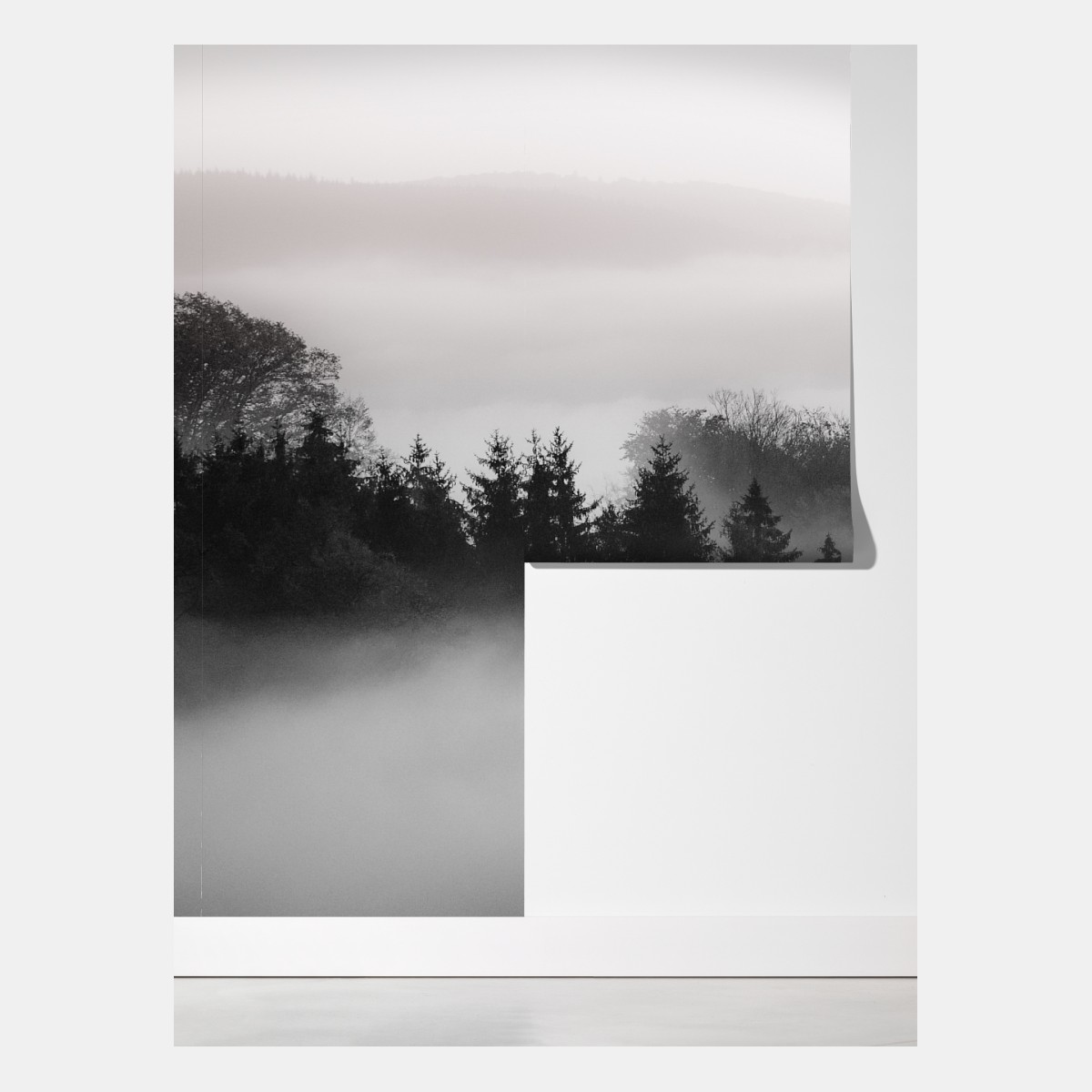 Fototapeta mglisty las w odcieniach szarości – Wallissimo® Fototapeta mglisty las w odcieniach szarości – Wallissimo®