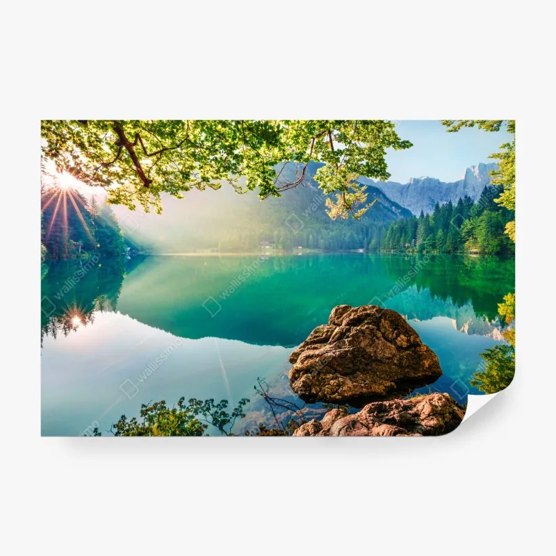 Fototapeta wzór z piwem i chmielem – Wallissimo®