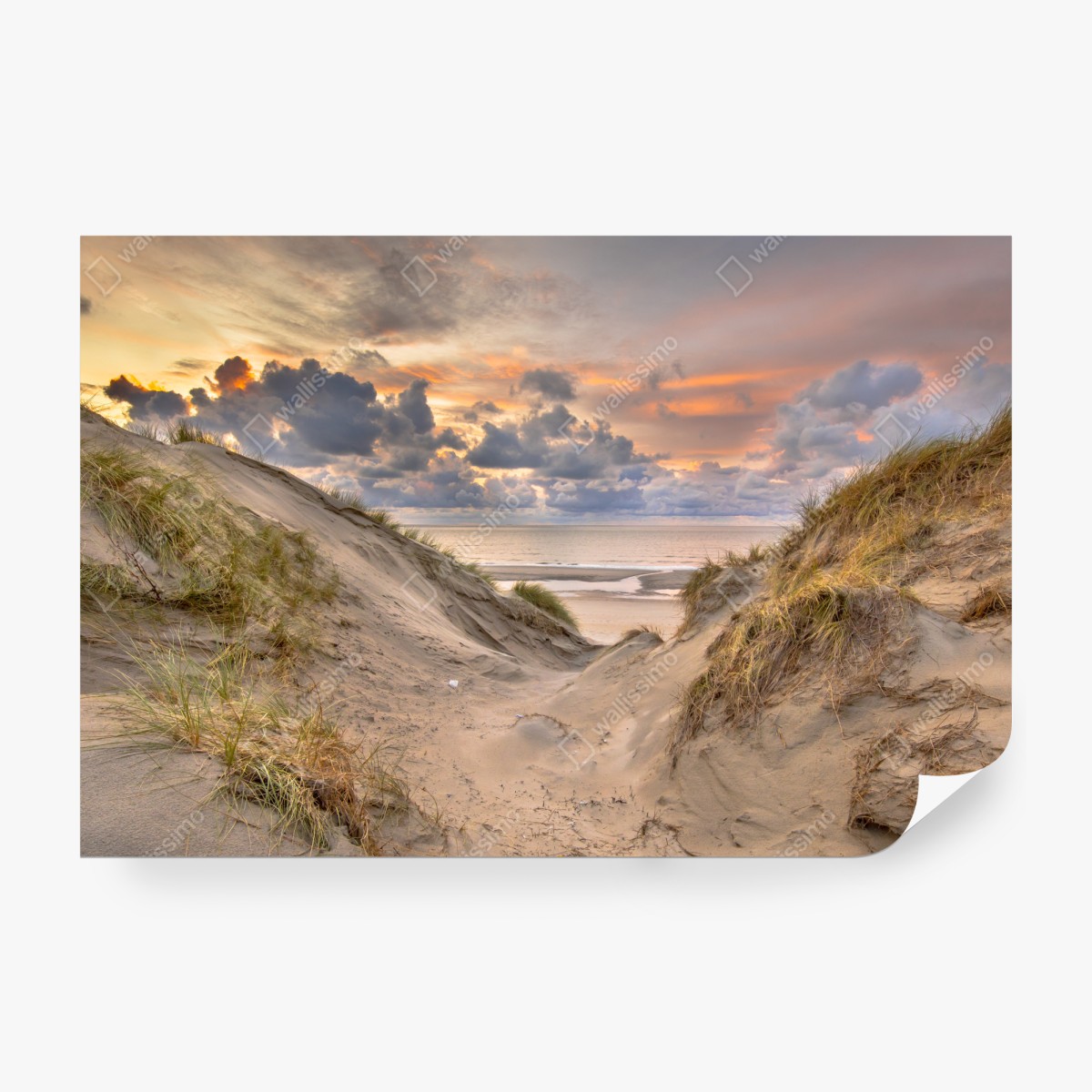 Fototapeta zachód słońca nad wydmami – Wallissimo® Fototapeta zachód słońca nad wydmami – Wallissimo®