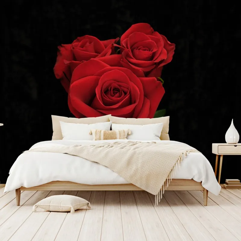 Wall mural red roses on black background