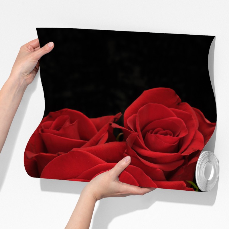 Fototapeta czerwone róże na czarnym tle – Wallissimo® Fototapeta czerwone róże na czarnym tle – Wallissimo®