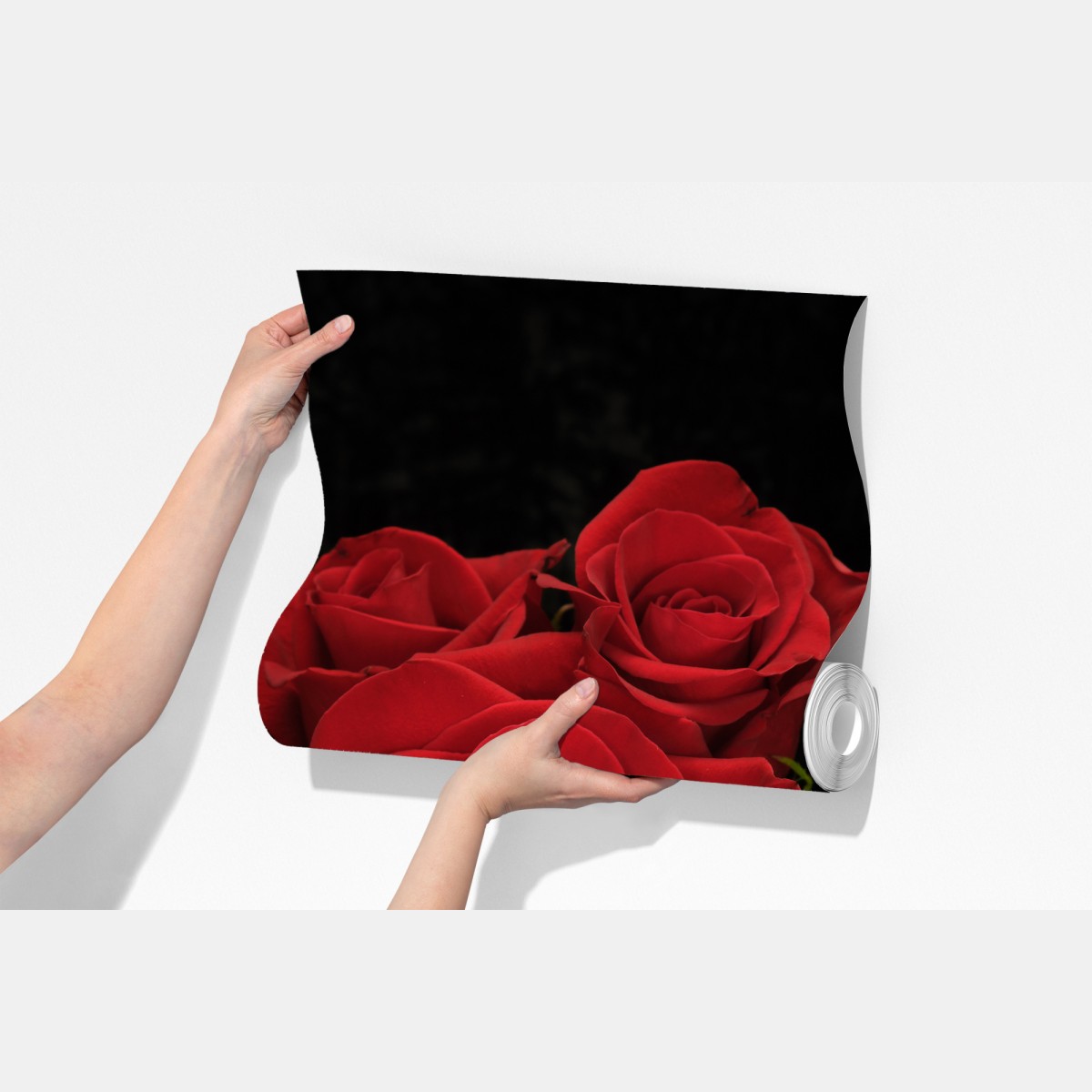 Fototapeta czerwone róże na czarnym tle – Wallissimo® Fototapeta czerwone róże na czarnym tle – Wallissimo®