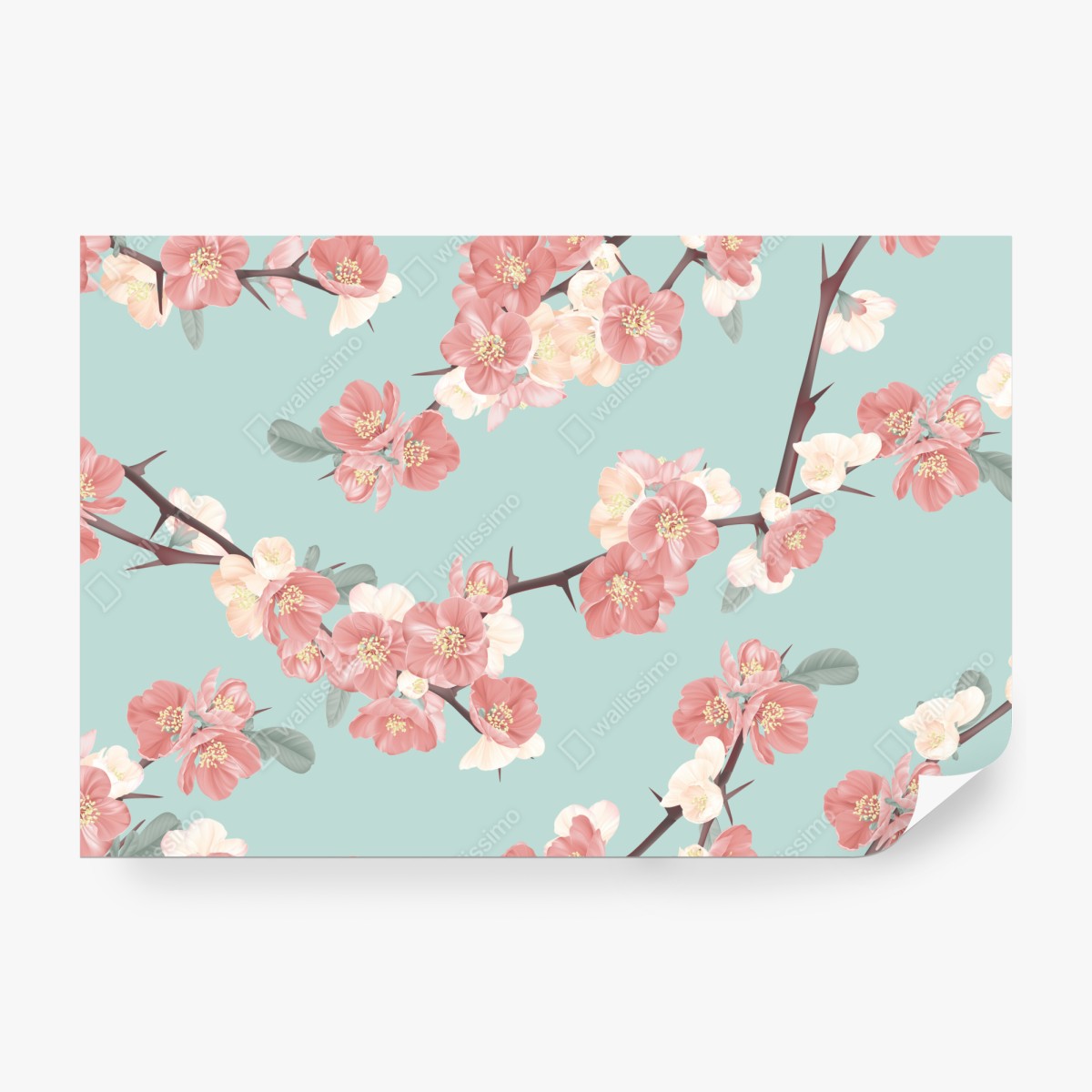 Fototapeta pastelowy wzór kwiatów wiśni na miętowym tle – Wallissimo® Fototapeta pastelowy wzór kwiatów wiśni na miętowym tle – Wallissimo®