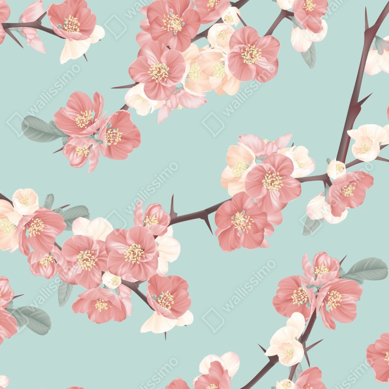 Fototapeta pastelowy wzór kwiatów wiśni na miętowym tle – Wallissimo® Fototapeta pastelowy wzór kwiatów wiśni na miętowym tle – Wallissimo®