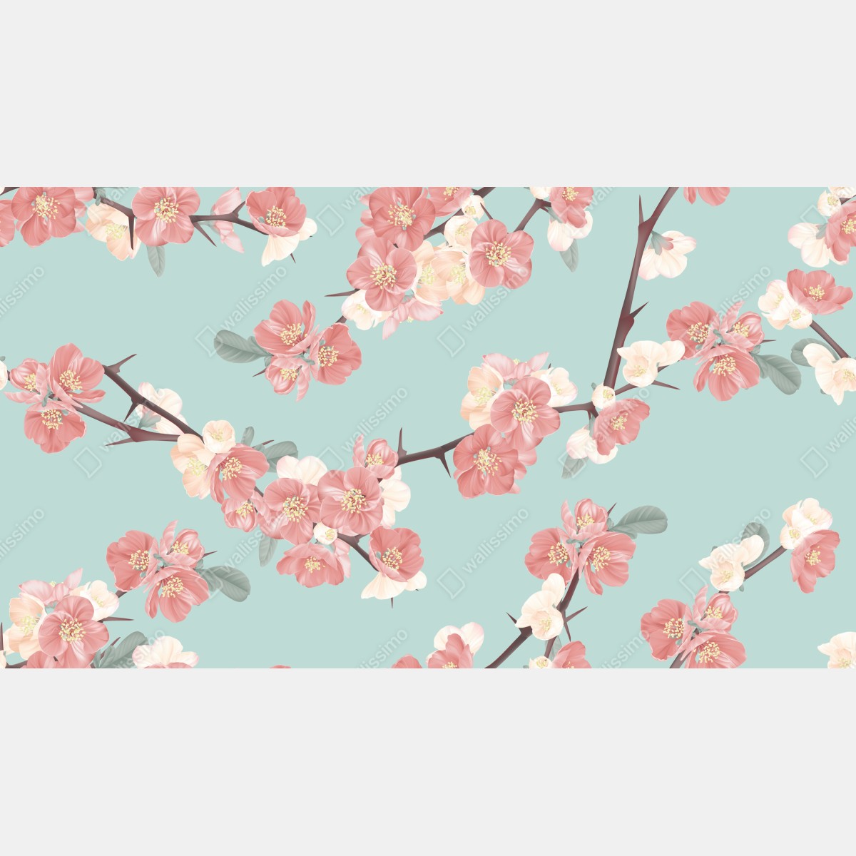 Fototapeta pastelowy wzór kwiatów wiśni na miętowym tle – Wallissimo® Fototapeta pastelowy wzór kwiatów wiśni na miętowym tle – Wallissimo®