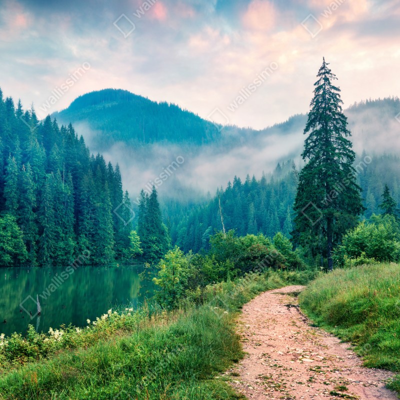 Fototapeta mglisty poranek nad Lacu Roșu – Wallissimo® Fototapeta mglisty poranek nad Lacu Roșu – Wallissimo®