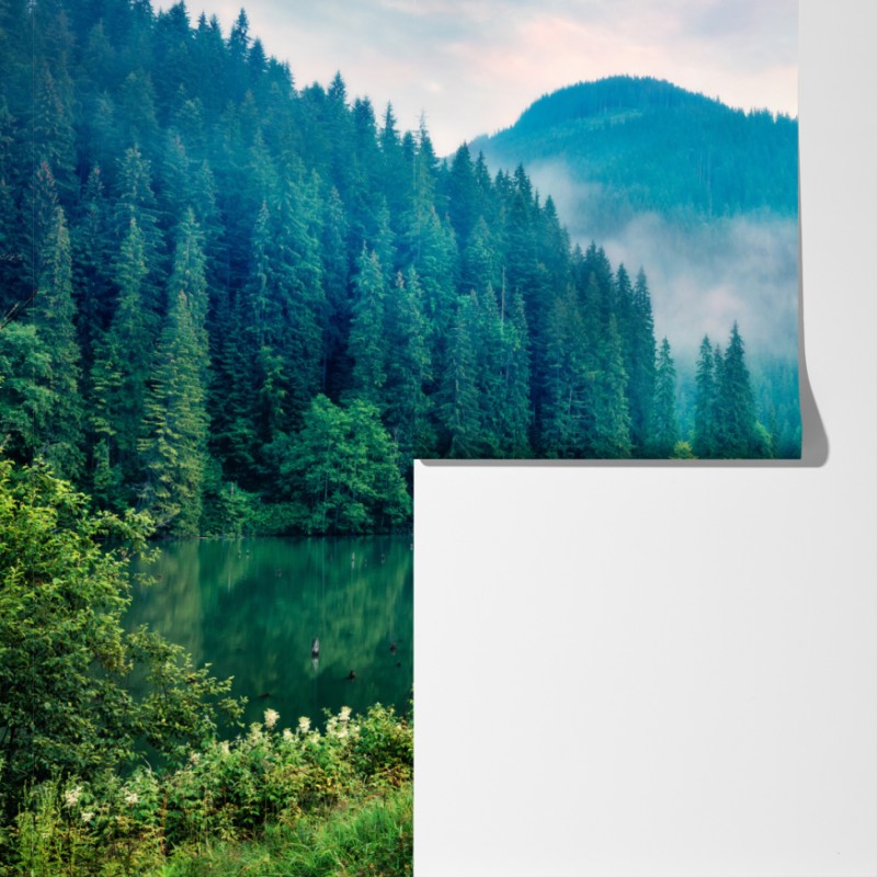 Fototapeta mglisty poranek nad Lacu Roșu – Wallissimo® Fototapeta mglisty poranek nad Lacu Roșu – Wallissimo®