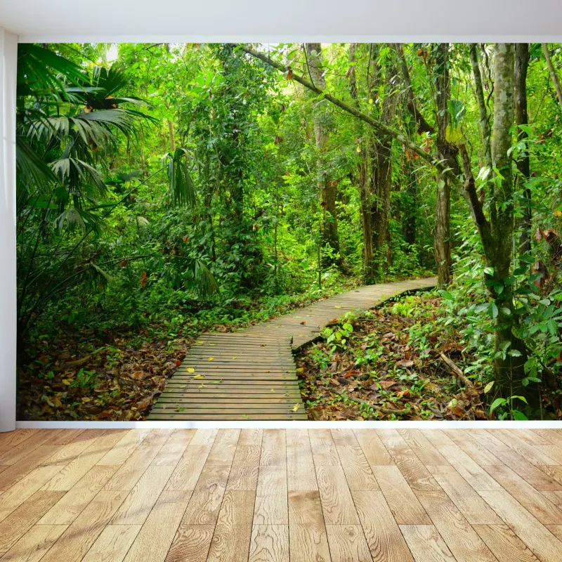 Wall mural tropical boardwalk through lush forest
