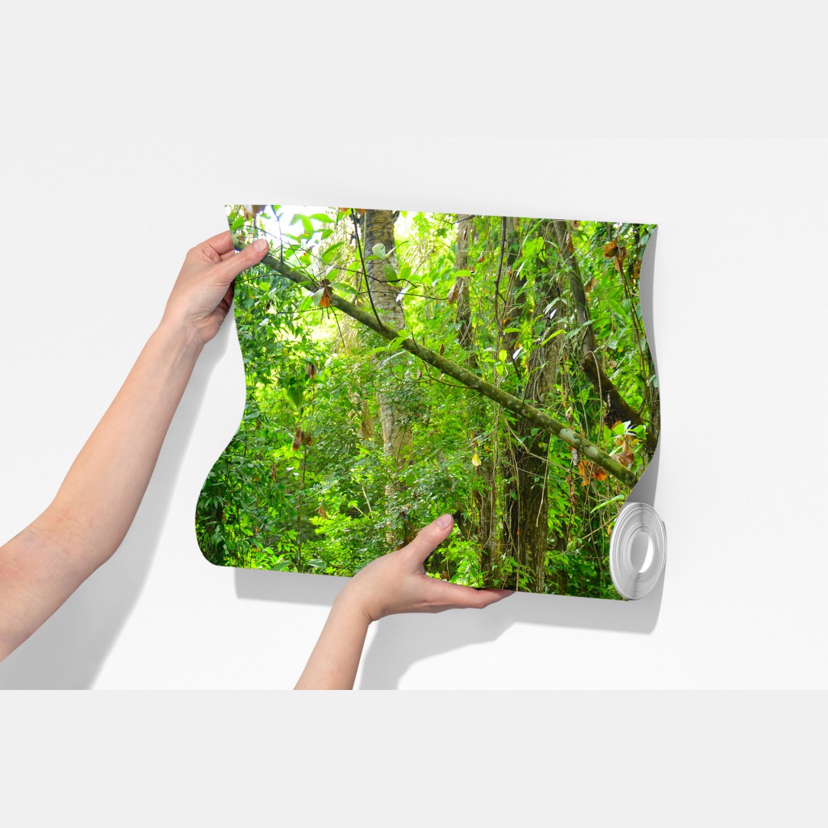 Fototapeta tropikalna kładka w bujnym lesie – Wallissimo® Fototapeta tropikalna kładka w bujnym lesie – Wallissimo®